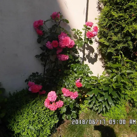 Iwona - Budget With Private Bathrooms *