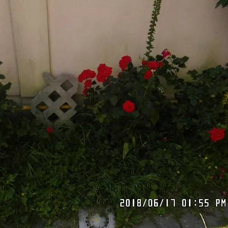 Privatunterkunft Iwona - Budget With Private Bathrooms *