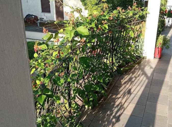 ホームステイ Iwona - Budget With Private Bathrooms ソポト