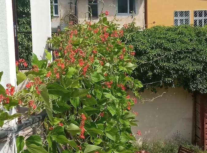 Iwona - Budget With Private Bathrooms ホームステイ