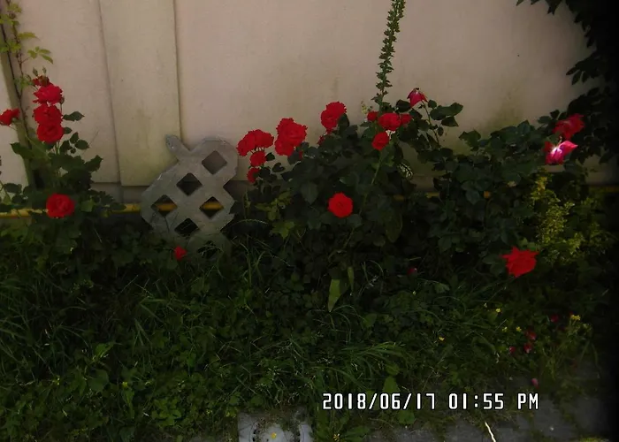 ホームステイ Iwona - Budget With Private Bathrooms *